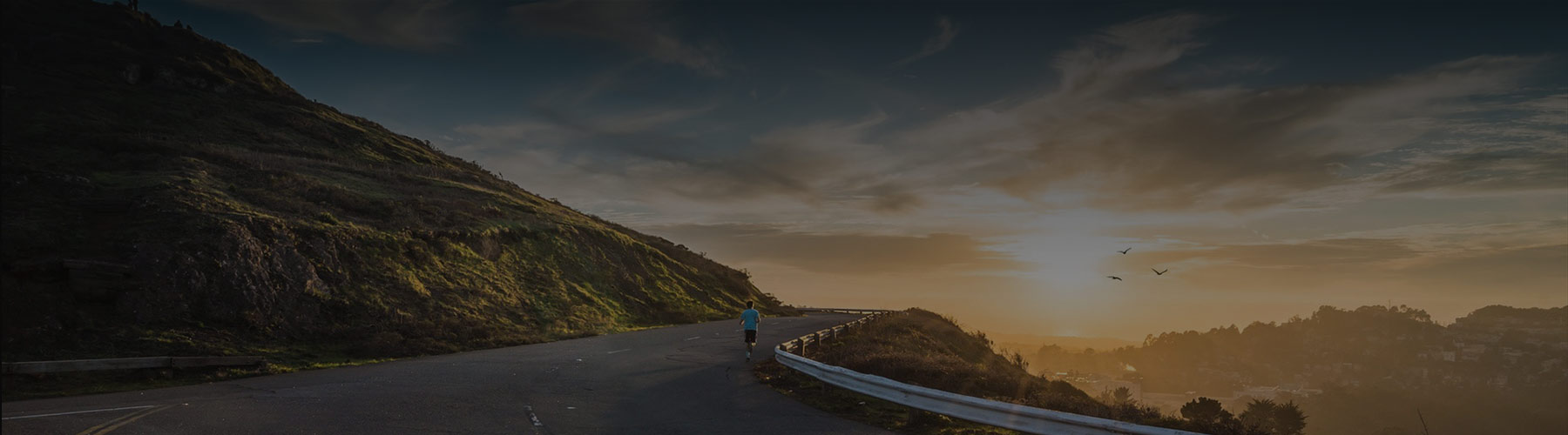 Corporate Tours Mice